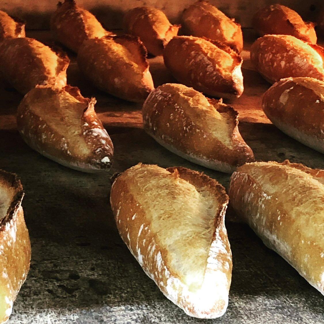 12.haruta bakery（八女店）【八女市】-5