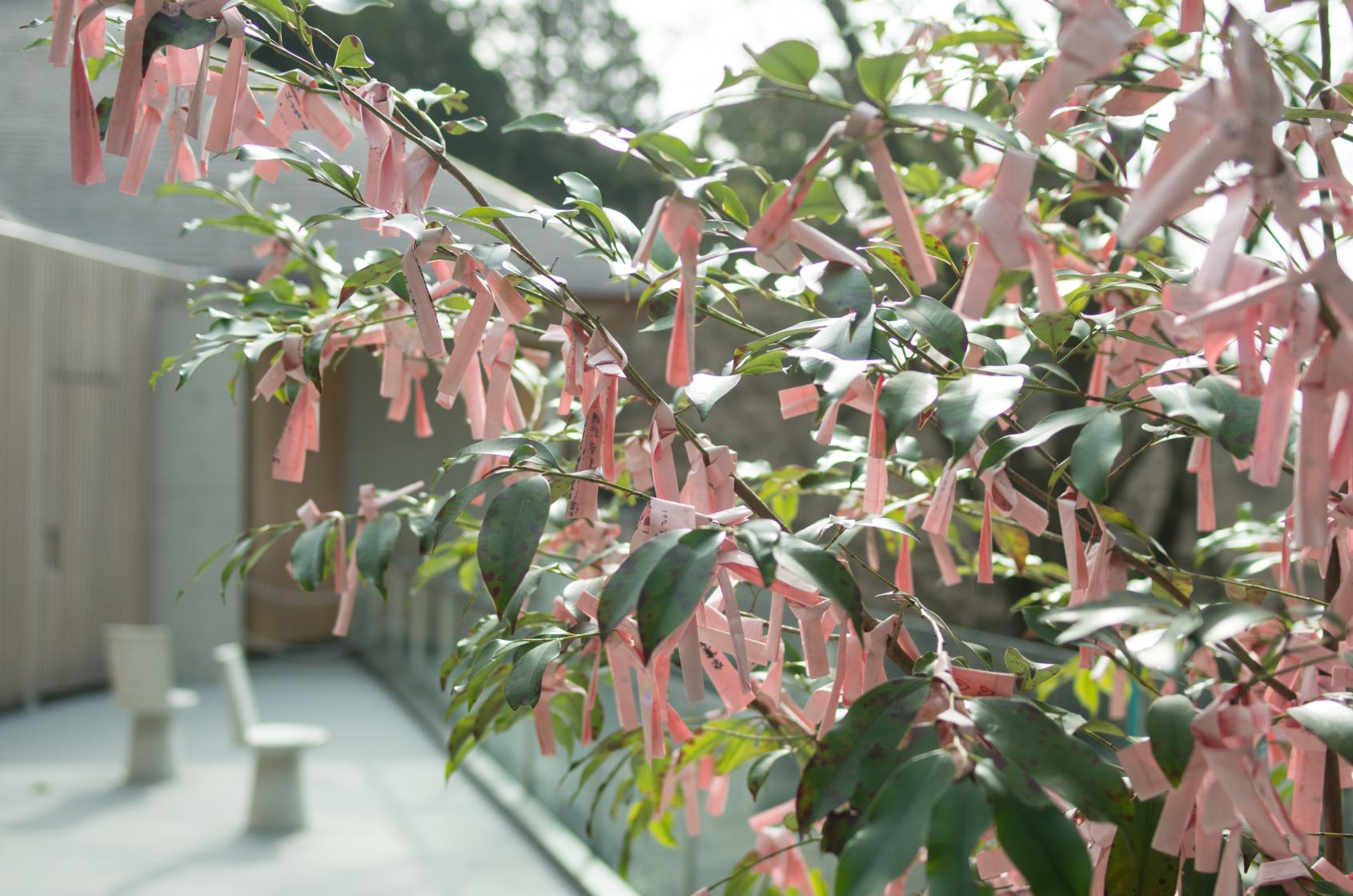 寶滿宮竈門神社-7
