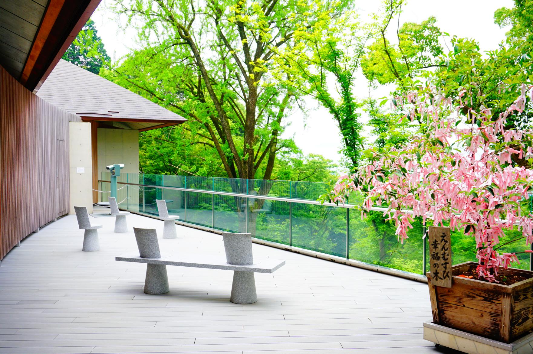 寶滿宮竈門神社-8