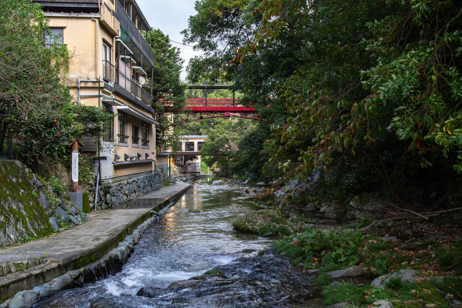 Wakita Onsen — A Quiet Hot Spring Retreat Wrapped in Nature-1