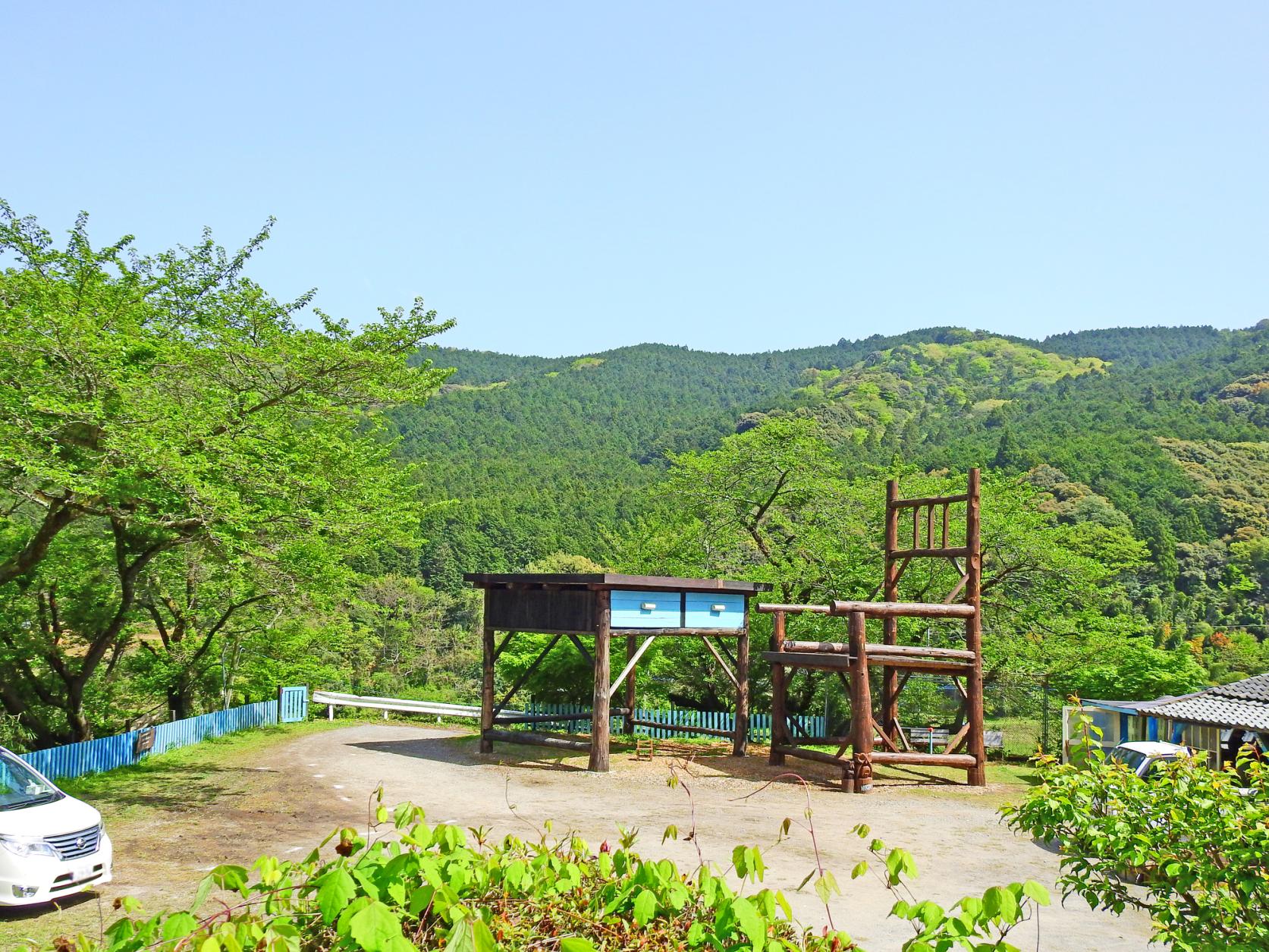 大椅子與大書桌-3