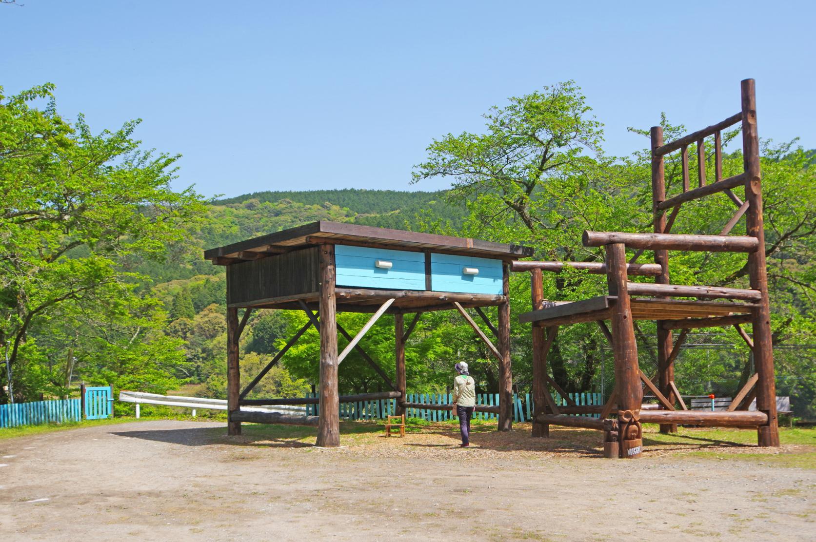 大椅子與大書桌-0