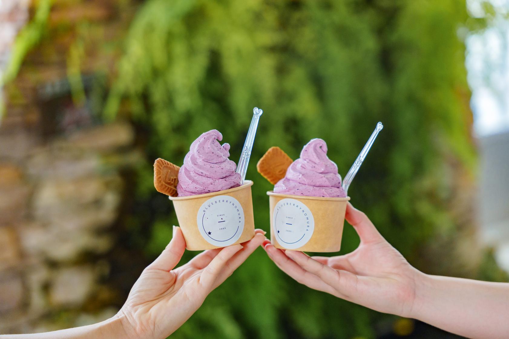 4. Tourist Farm Blueberry Village (Kurume City)-0