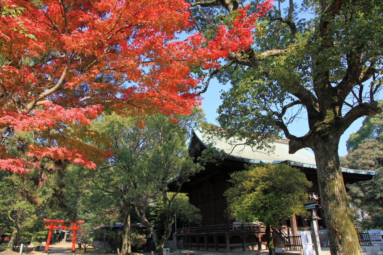 藩のシンボル「城」「城下町」の特徴や見どころは？-2