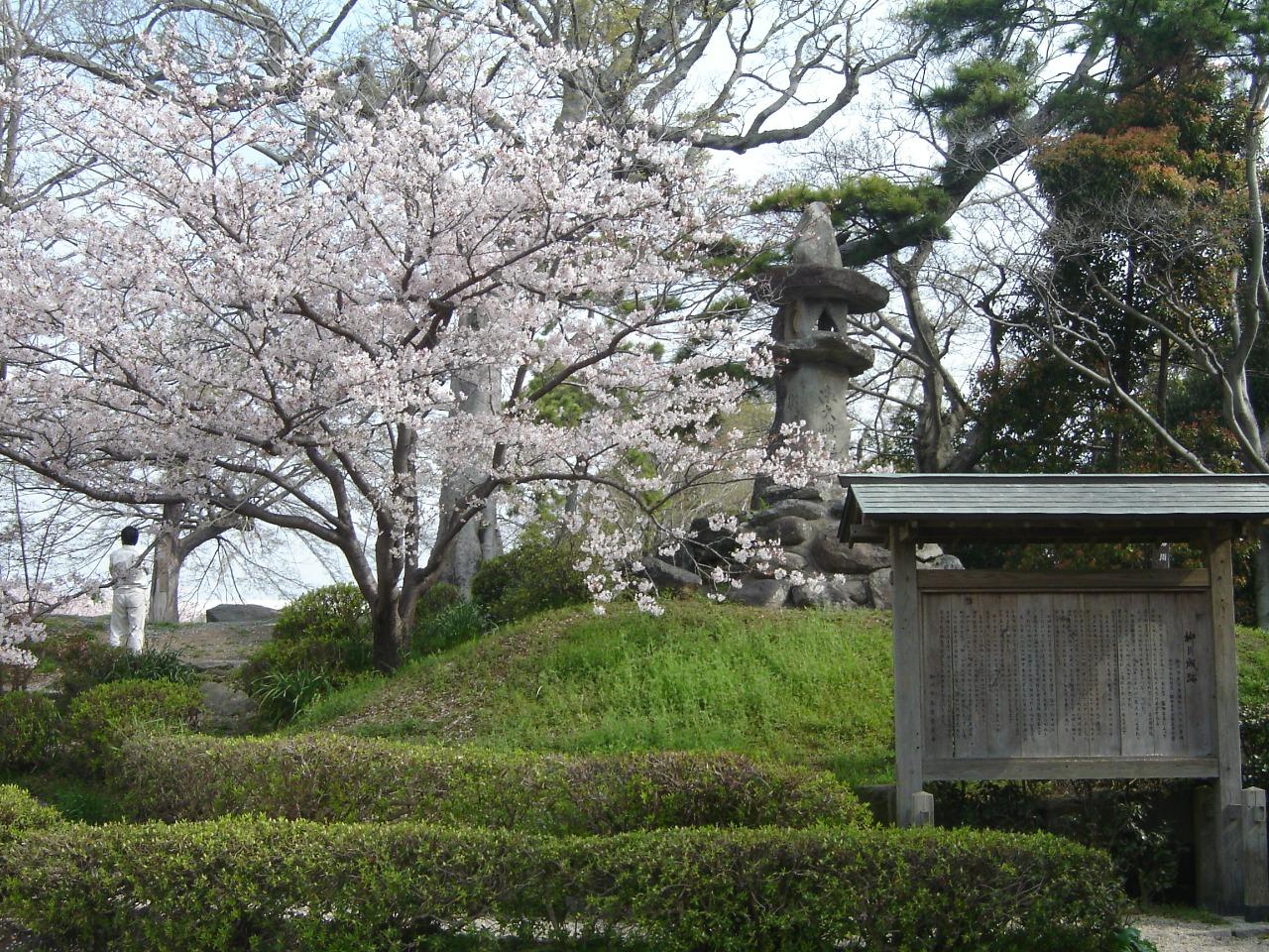 藩のシンボル「城」「城下町」の特徴や見どころは？-3