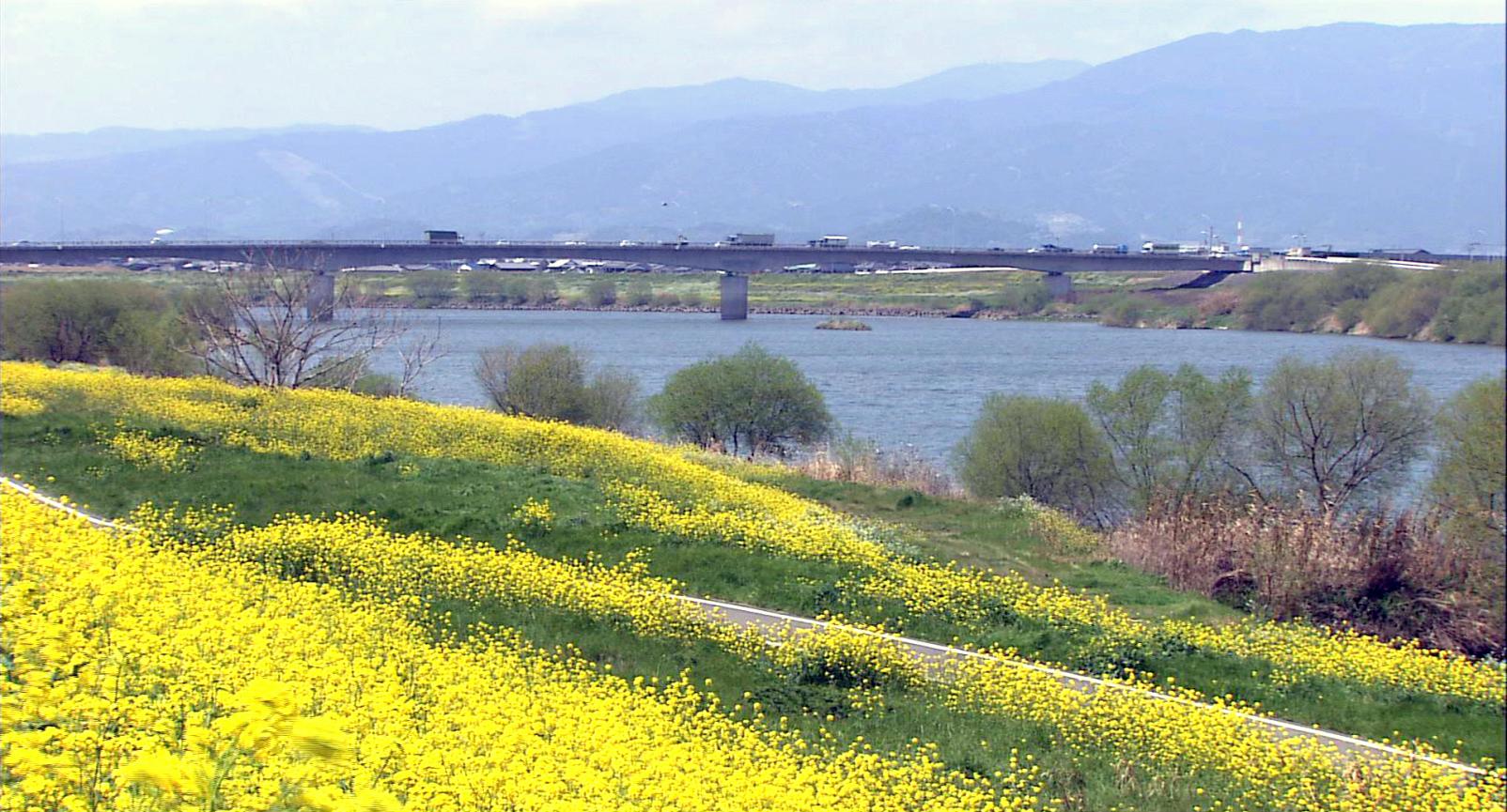 4つの大藩の文化がミックスされ、現代の福岡県のイメージを形成-2