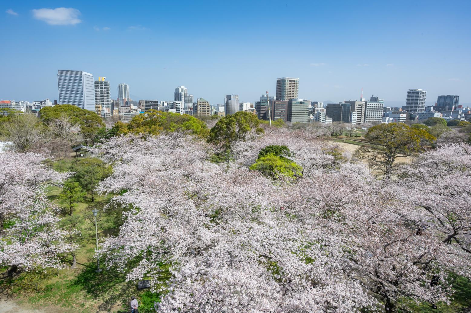 4つの大藩の文化がミックスされ、現代の福岡県のイメージを形成-0