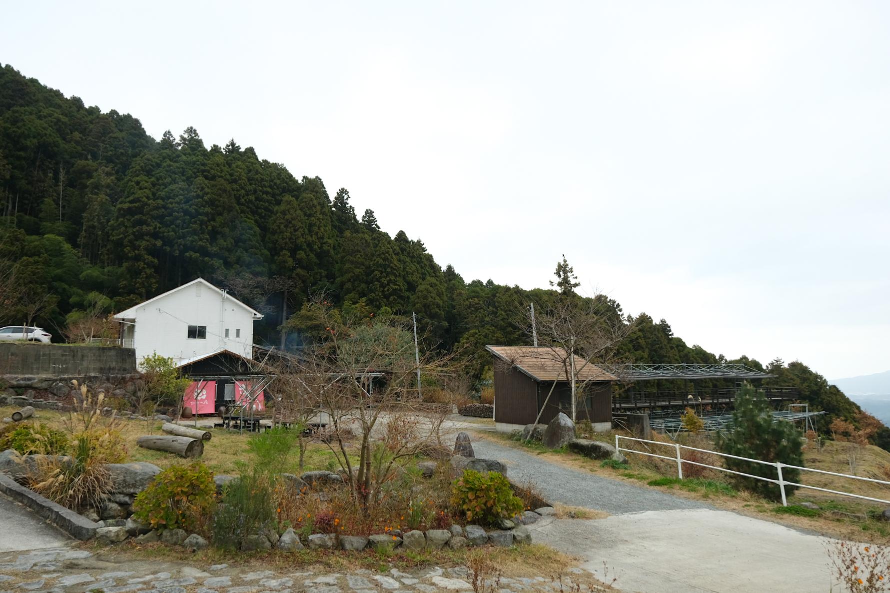 白糸の森｜木々に抱かれて、深呼吸。童心に戻れるツリーハウスカフェ-0