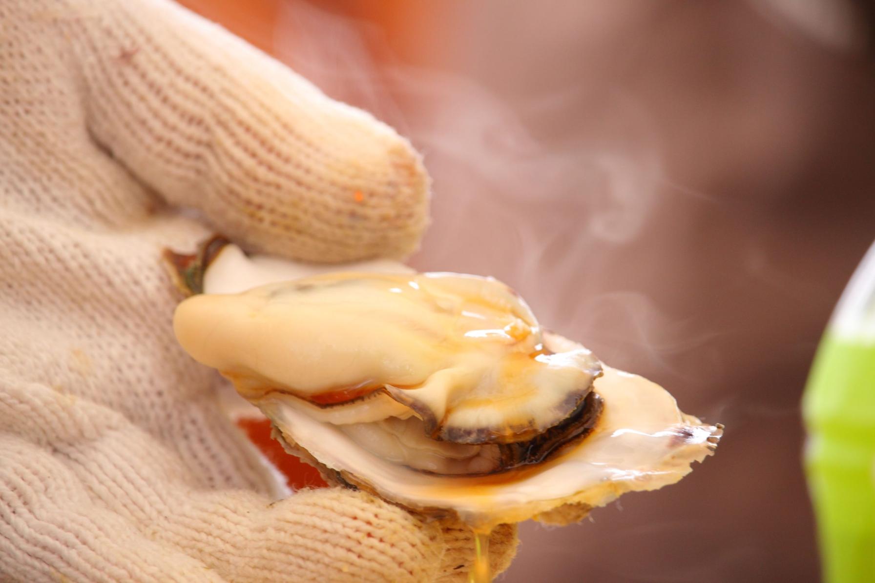 体験もイベントも！ユニークなツアーも-0