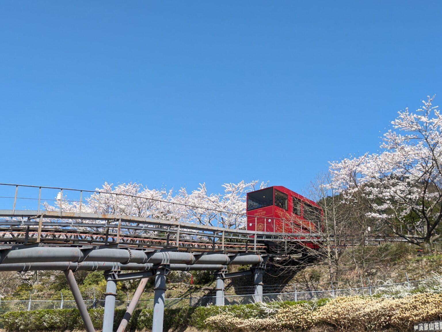 体験もイベントも！ユニークなツアーも-3