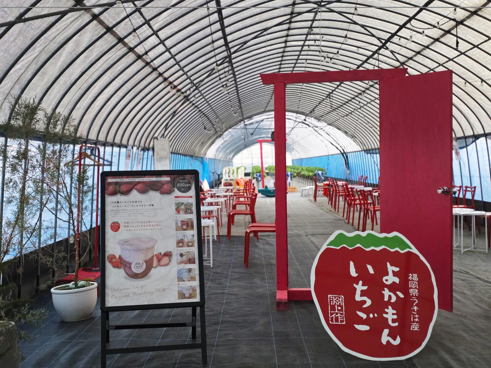 【うきは市・ナイトストロベリー狩り】ライトアップされた幻想的ないちご園｜筑後エリア-0