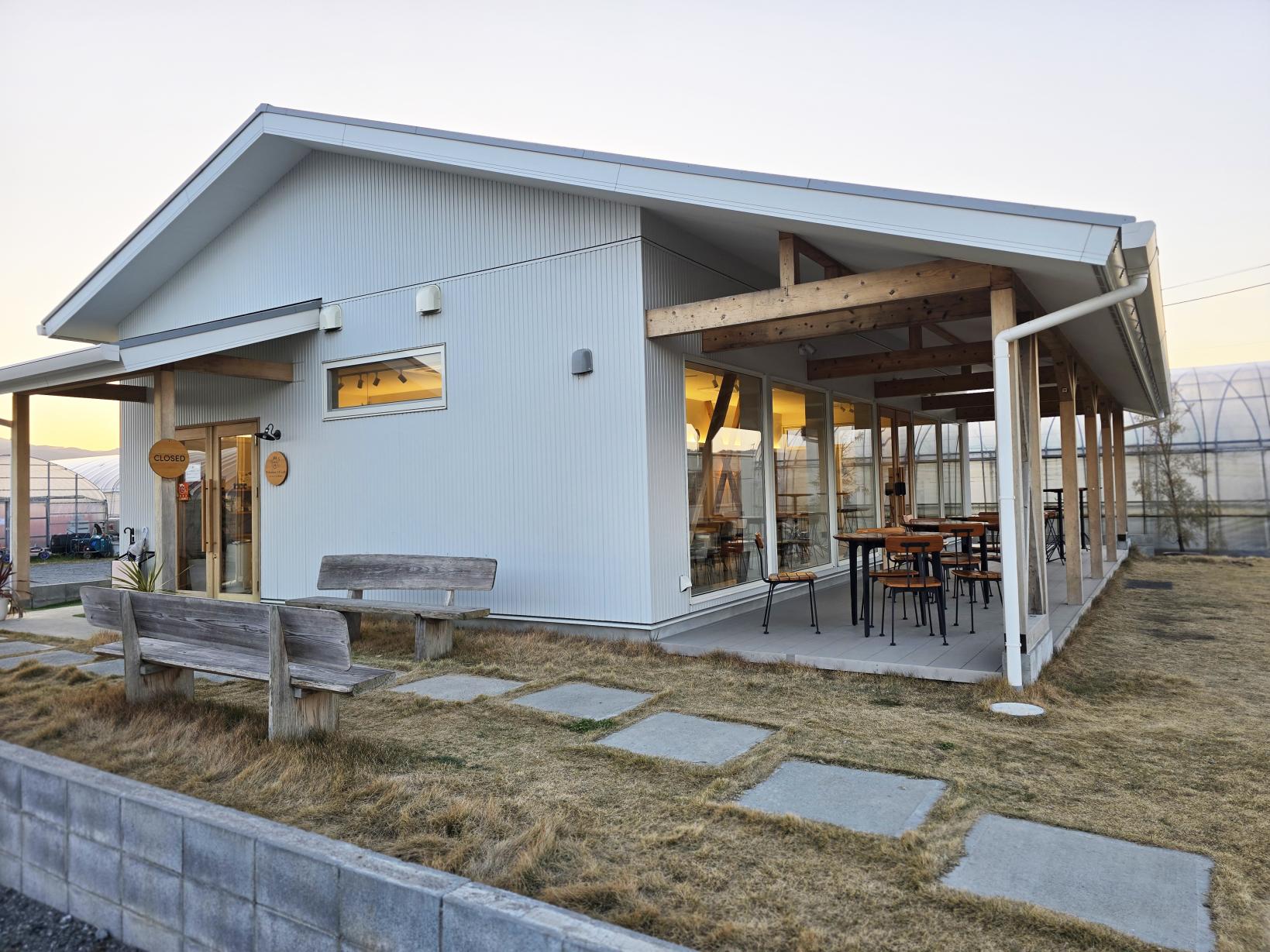 【うきは市・ナイトストロベリー狩り】ライトアップされた幻想的ないちご園｜筑後エリア-2