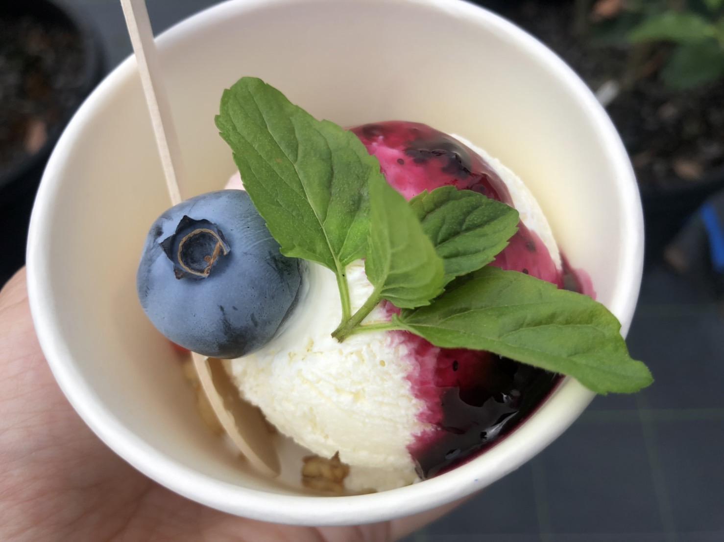 1. Cherrybell Tourist Farm Fukutsu (Fukutsu City)-0