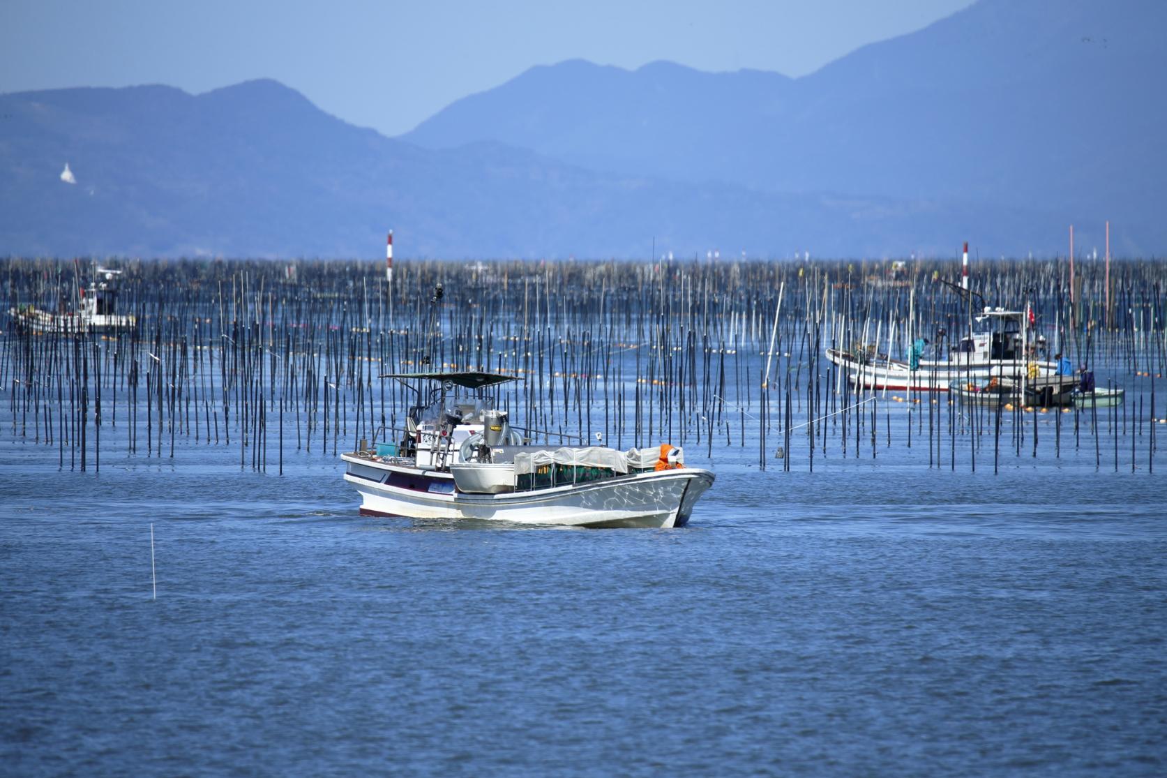 干満差6mが育む「口溶け」の秘密-1
