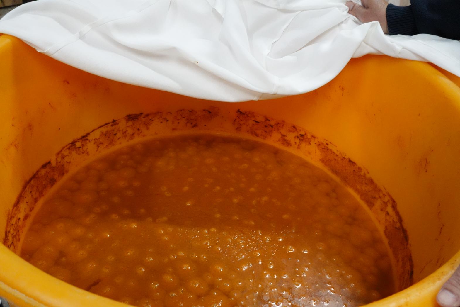 泡立つ「柿酢」。果実もまた、ここで呼吸する-1