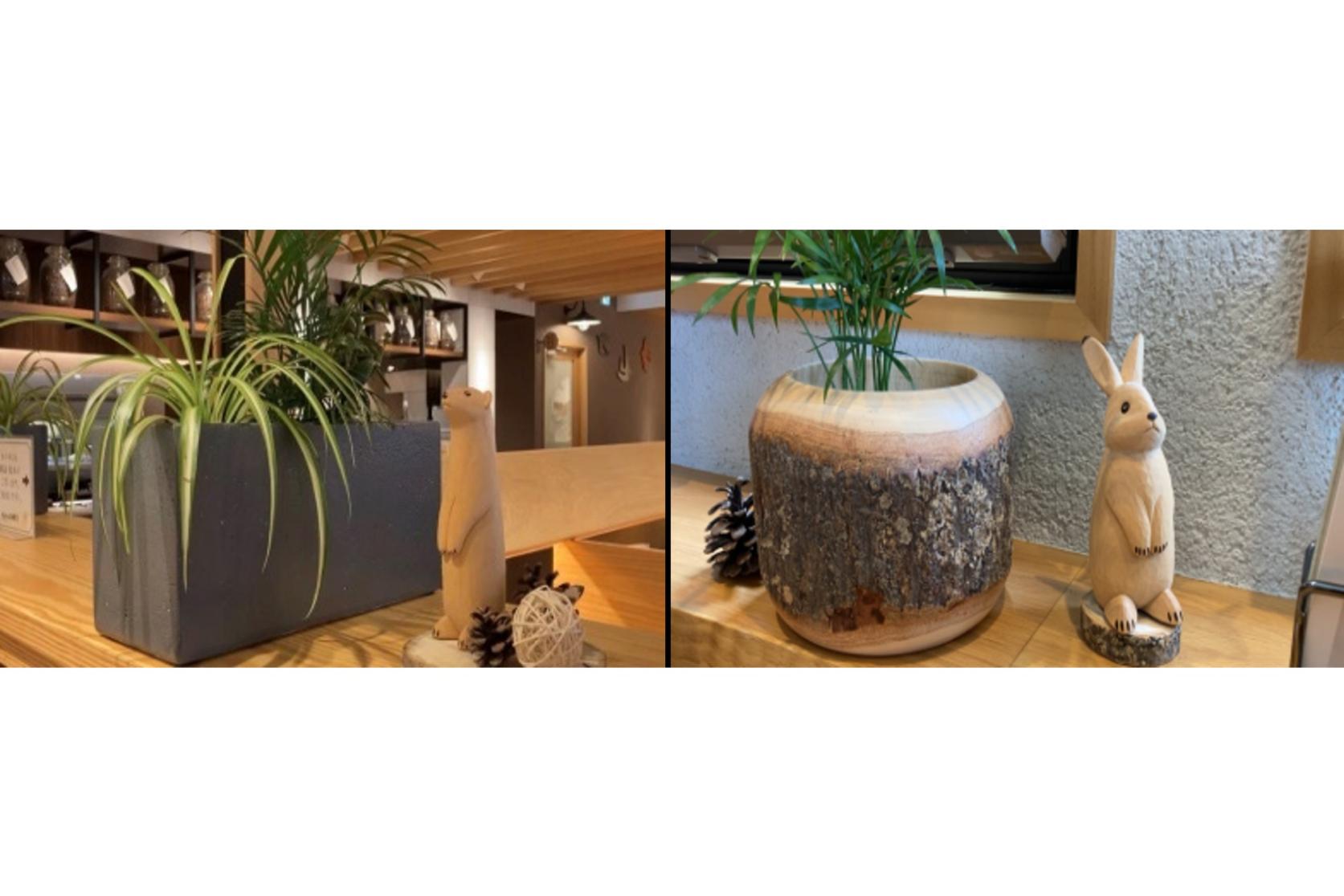 7.むさしの森珈琲 太宰府向佐野店【太宰府市】-4