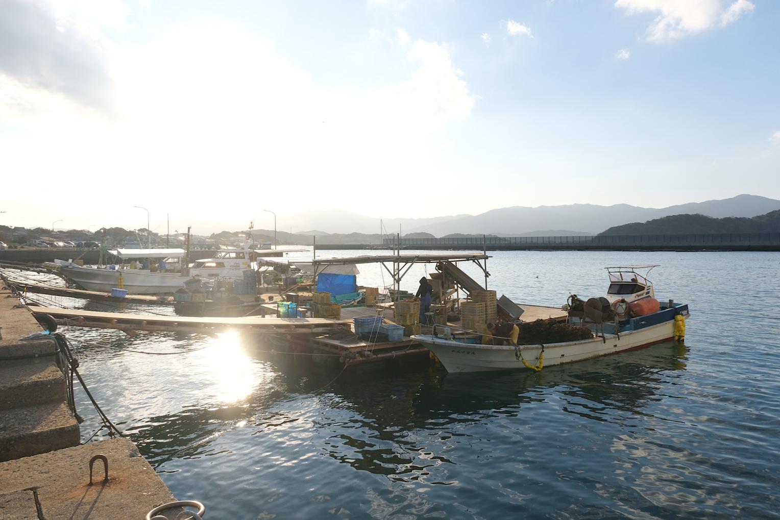 岐志漁港｜牡蠣小屋が集結する糸島屈指の漁港-0