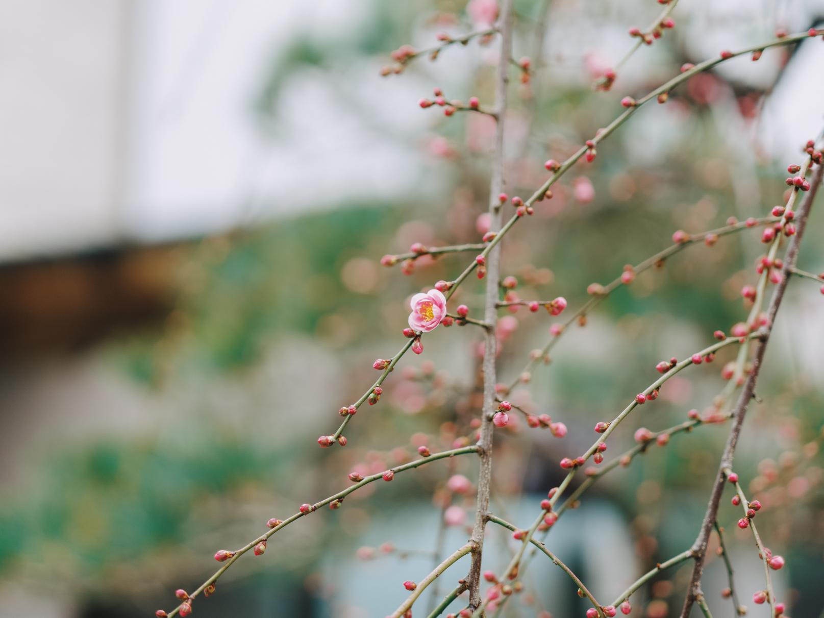 世代をつなぐ産地の姿-1