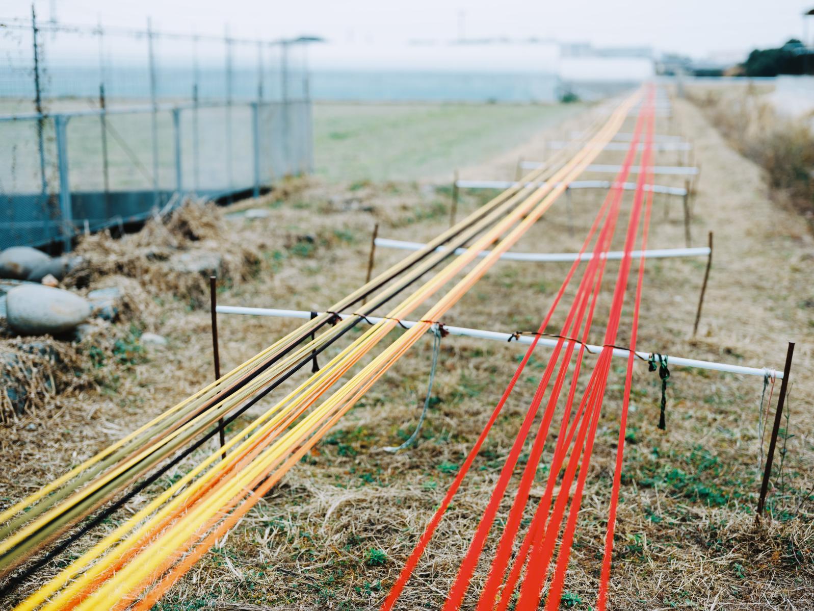 図案と色で表現する粋-1