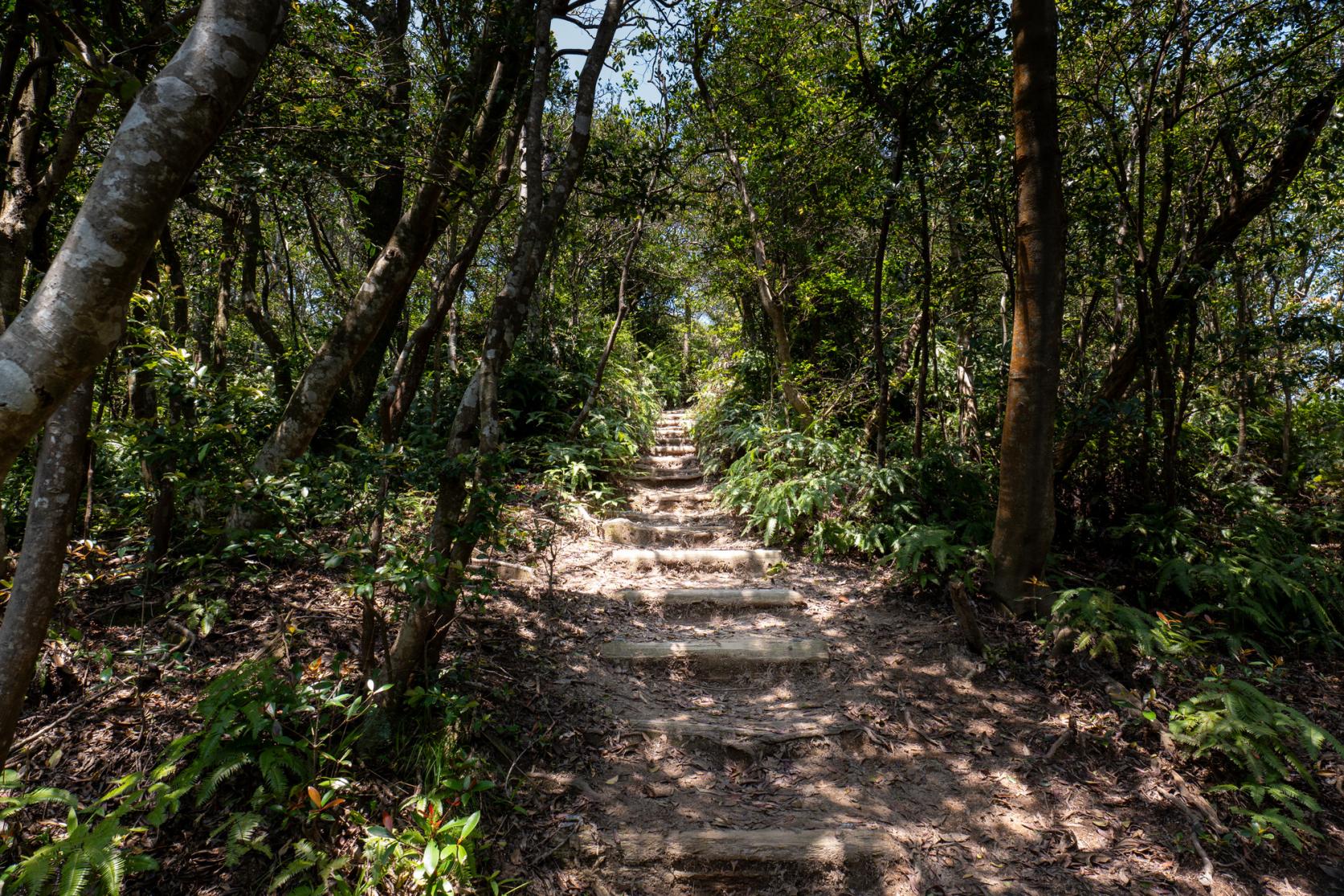 ③絶景への挑戦！立石山ヒルクライムとプチ登山-1