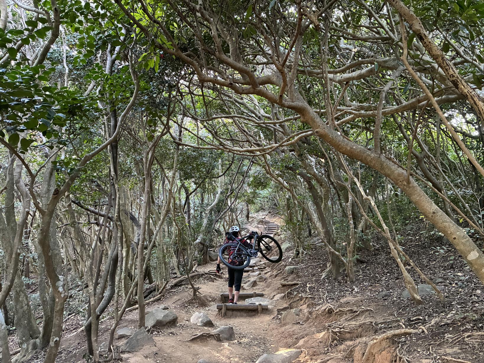 ④圧巻の鳥居と神秘的な森、芥屋の大門公園-0