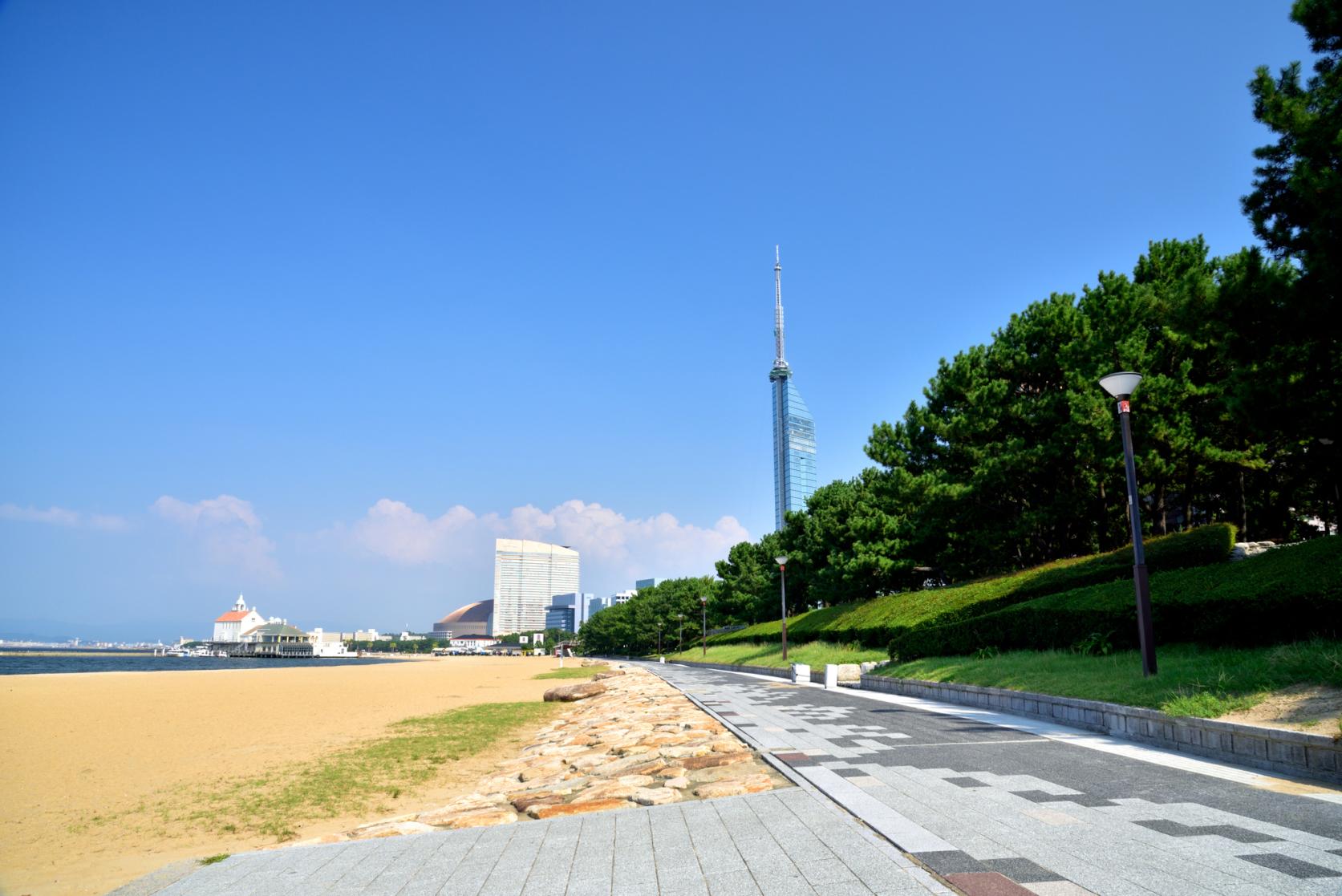 ⑥糸島から市街地へ。百道浜の海辺を走る-3