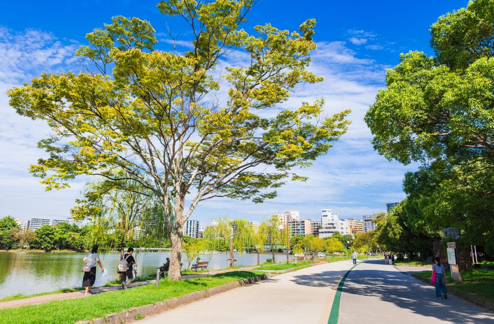 ⑦大濠公園を通り抜け、歴史が息づく福岡城址へ-1
