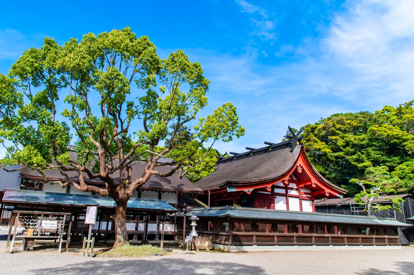 ③サイクリストの新聖地！世界遺産の歴史にふれる宗像大社-0