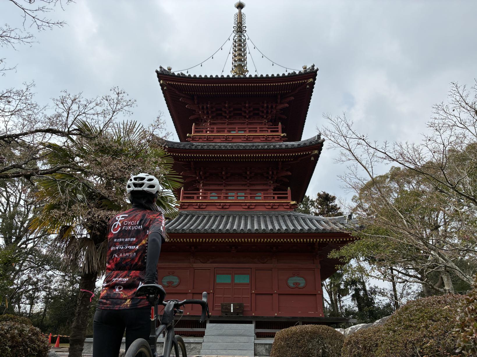 ④田園風景に凛とそびえる豊前国分寺 三重塔へ-1
