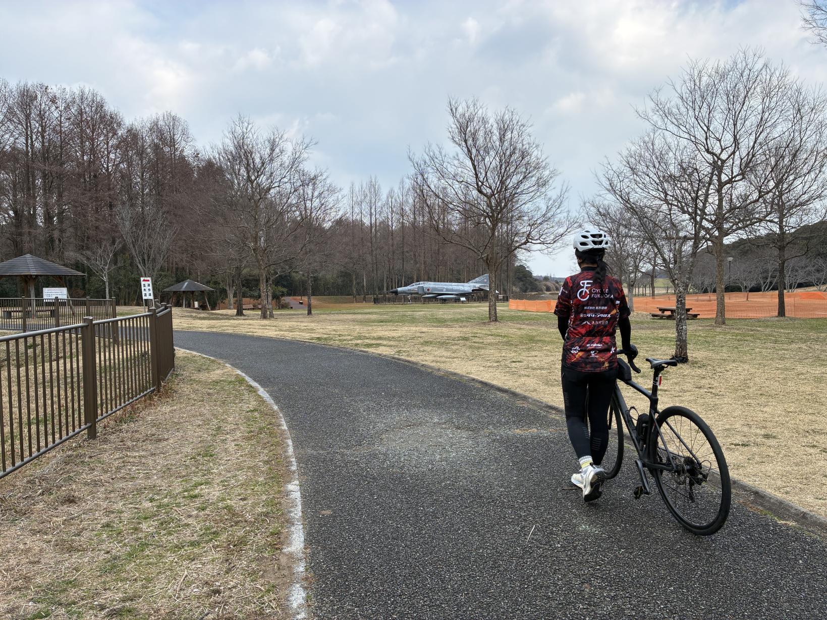 ⑤自然のトンネル！メタセコイアが並ぶ癒しの道・メタセの杜-0