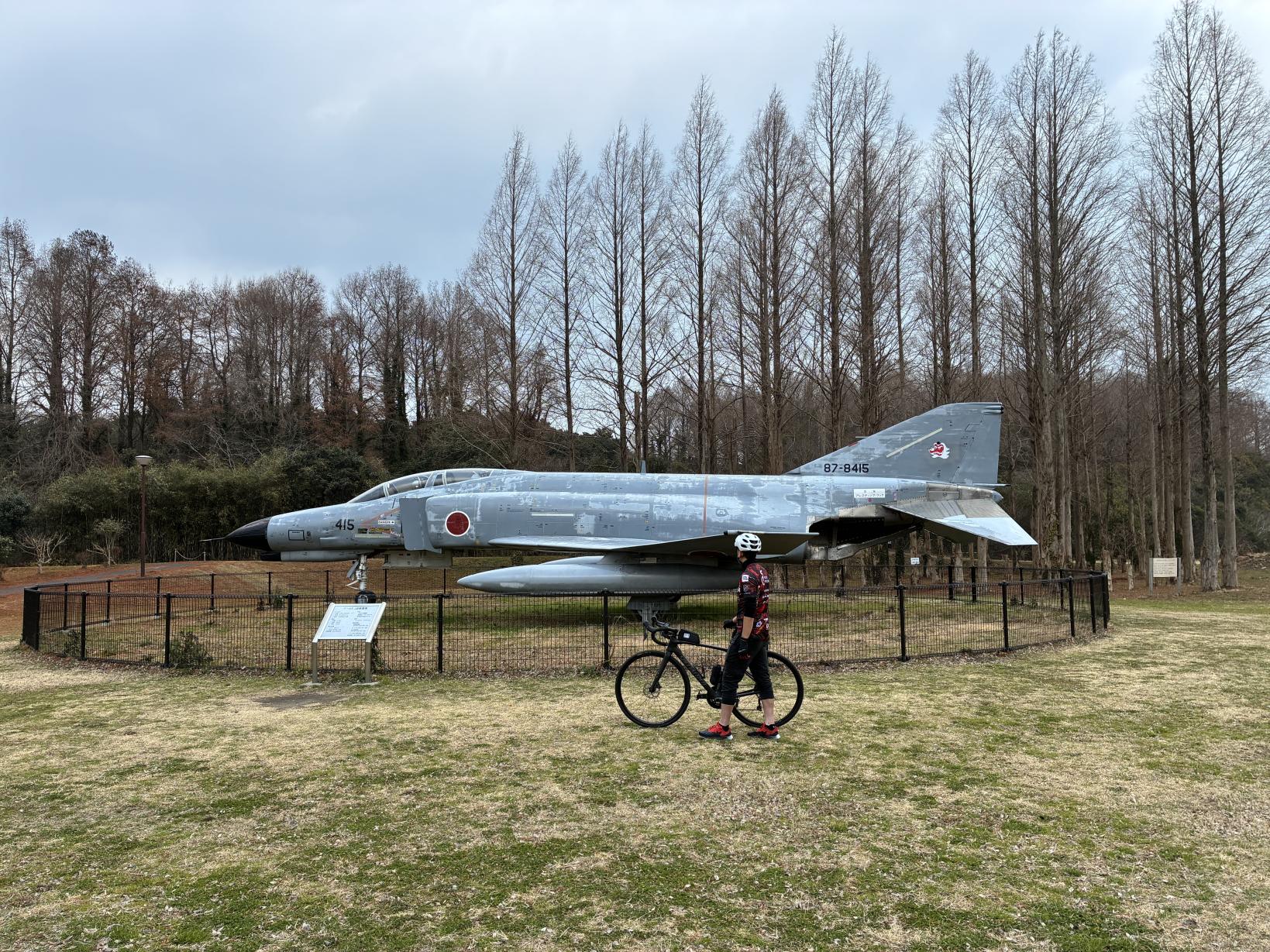 ⑤自然のトンネル！メタセコイアが並ぶ癒しの道・メタセの杜-2