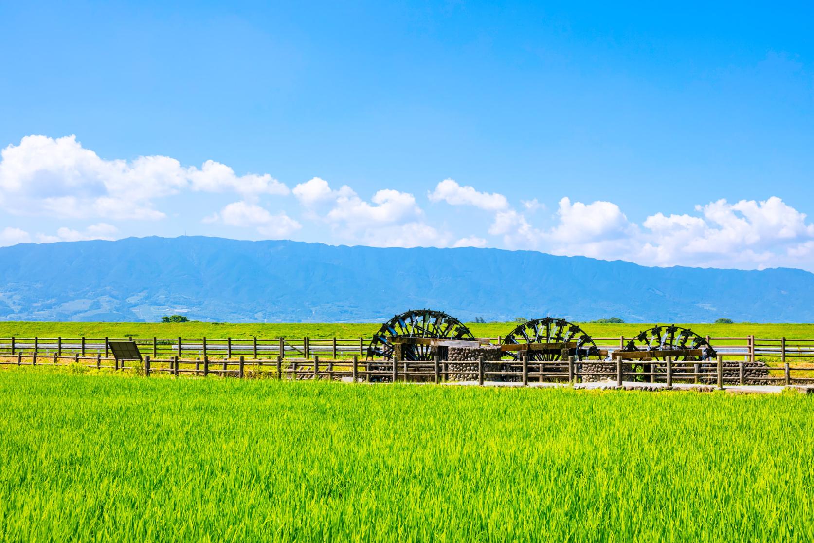 ③朝倉のシンボル。田園風景の中に佇む三連水車-1