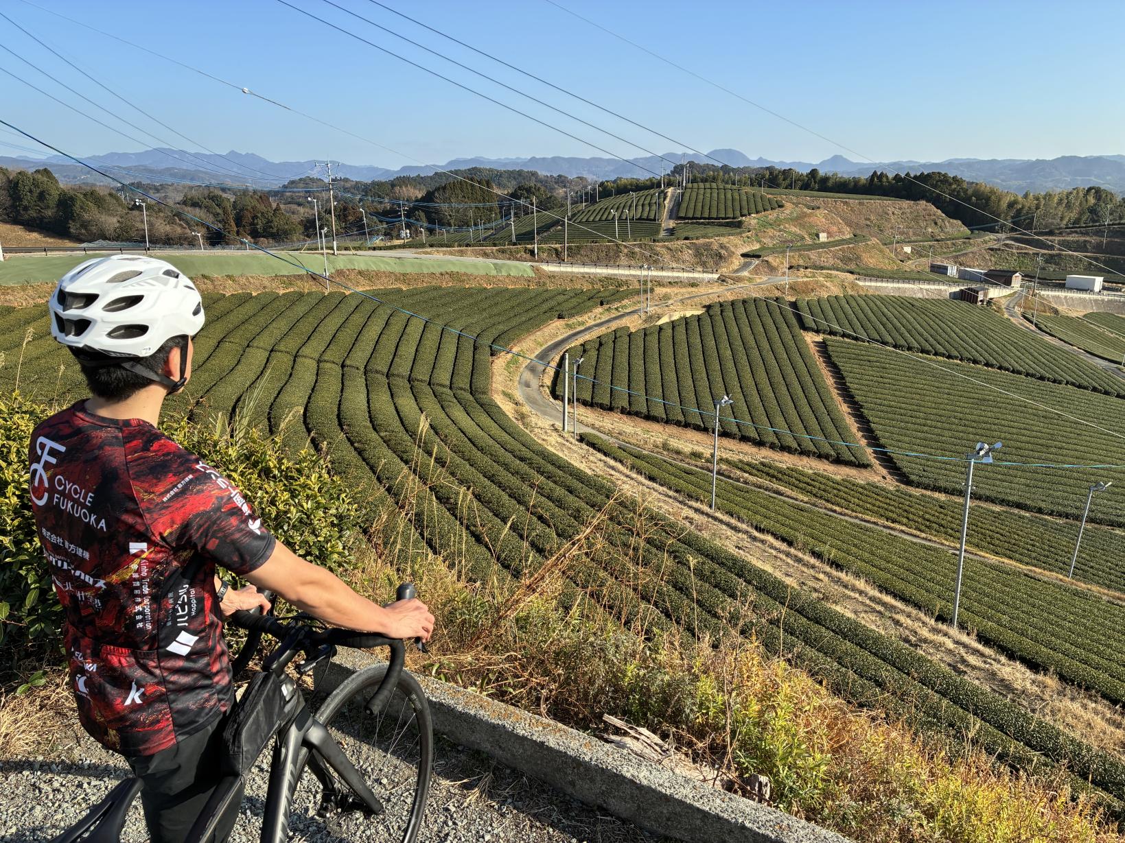 ⑤パノラマビュー！茶畑の間を駆け抜ける八女中央大茶園-0