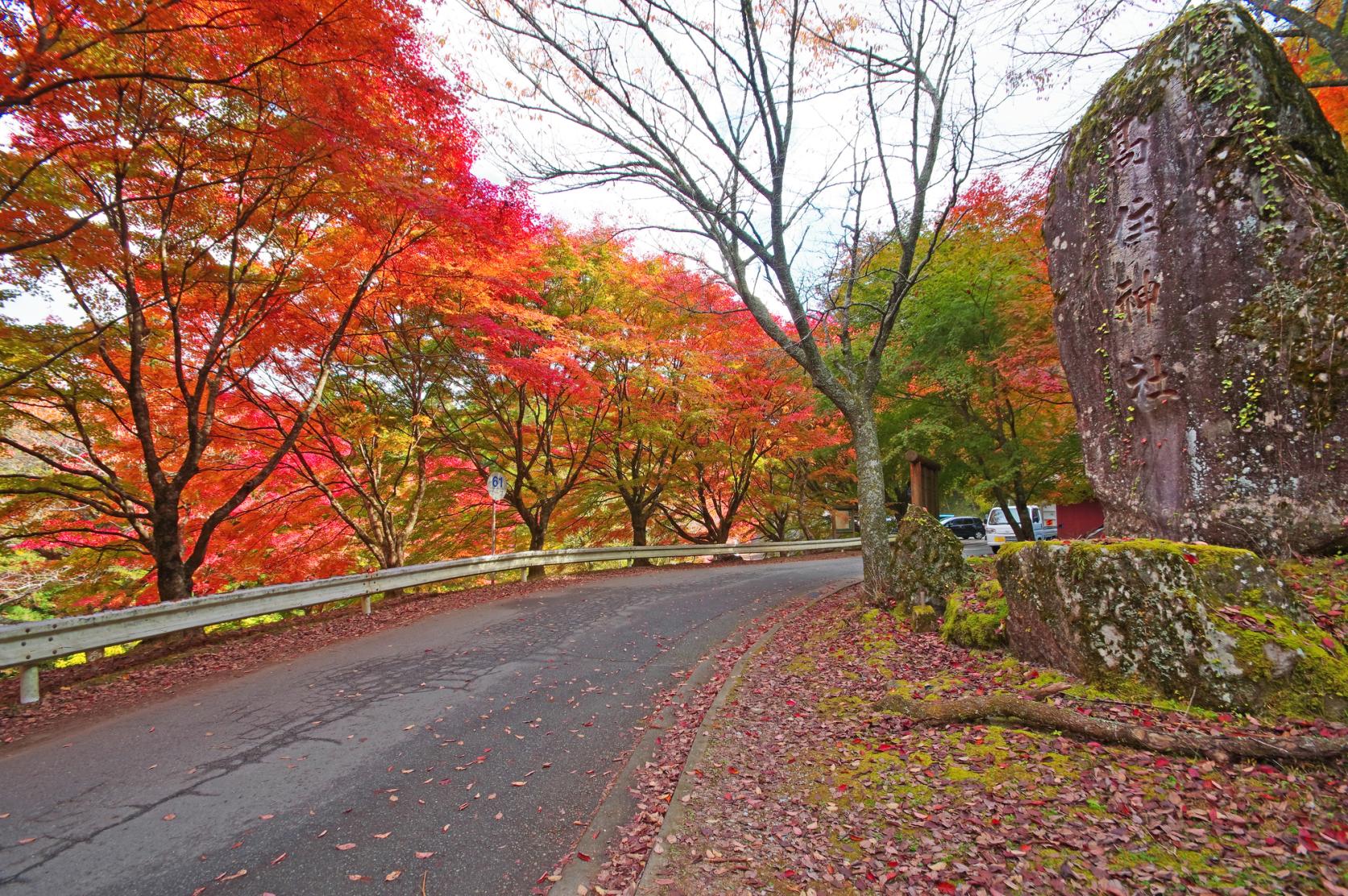 英彦山天狗ライン-3