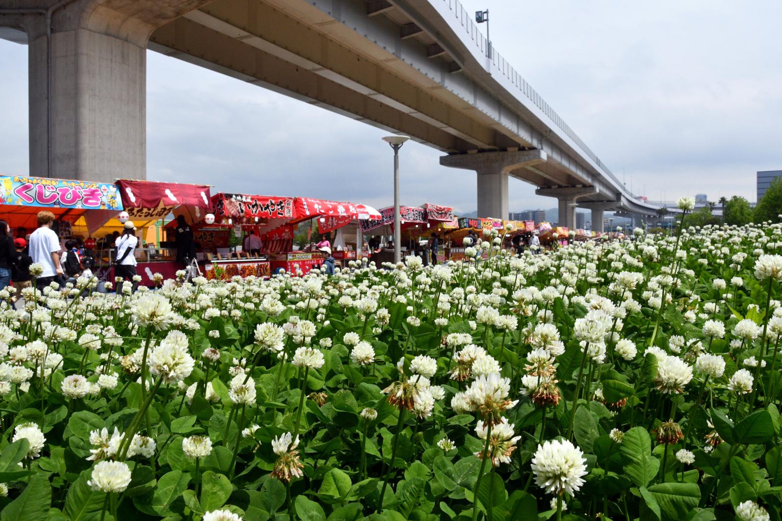 Festivals & Events-2