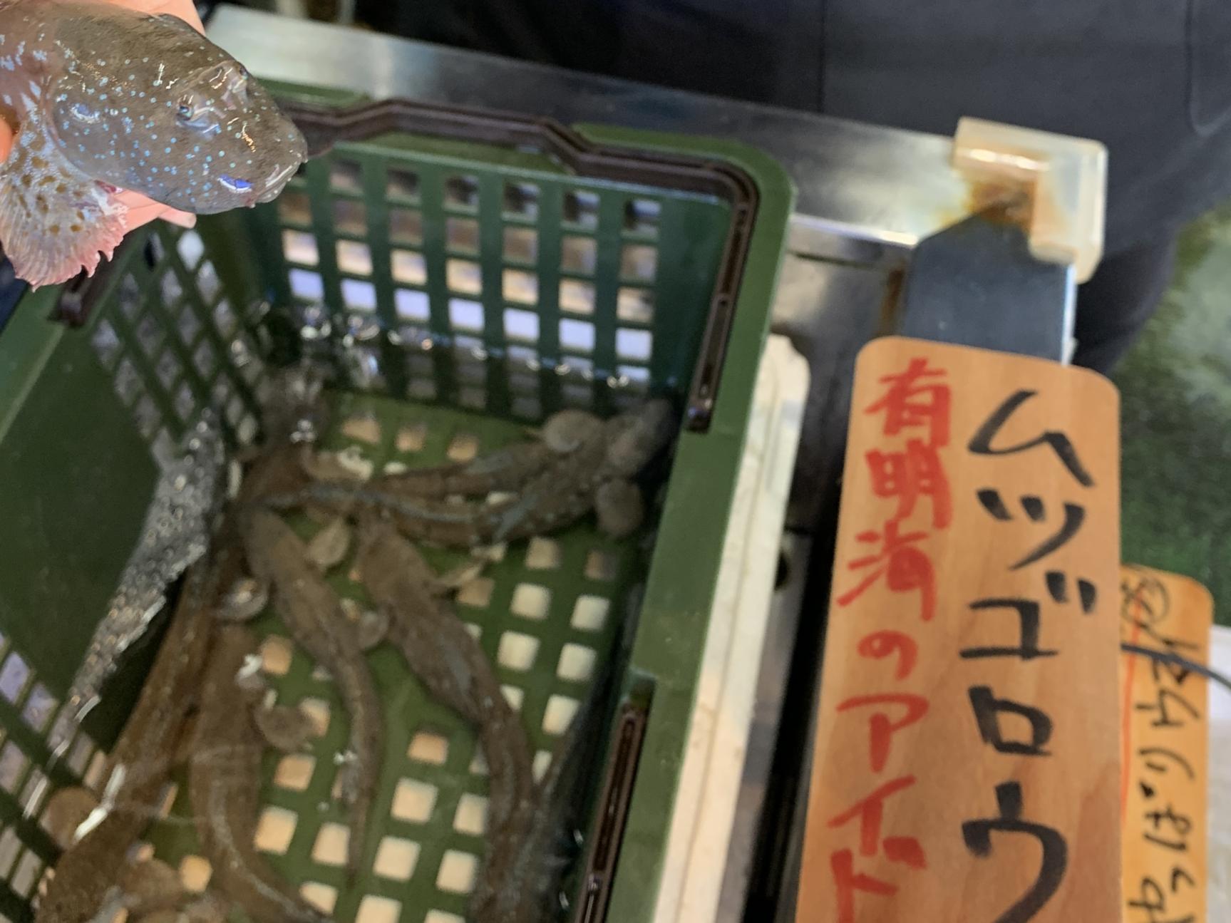 有明海の珍味は「夜明茶屋」で-1