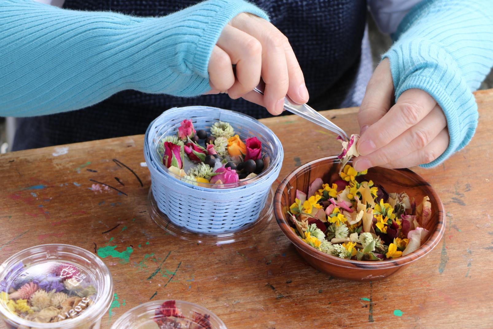海の中道海浜公園　うみなか春のバラフェア（福岡市）-1