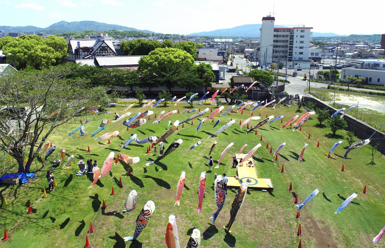 Ils nagent avec énergie sous le ciel bleu ! Spots de Koinobori-0