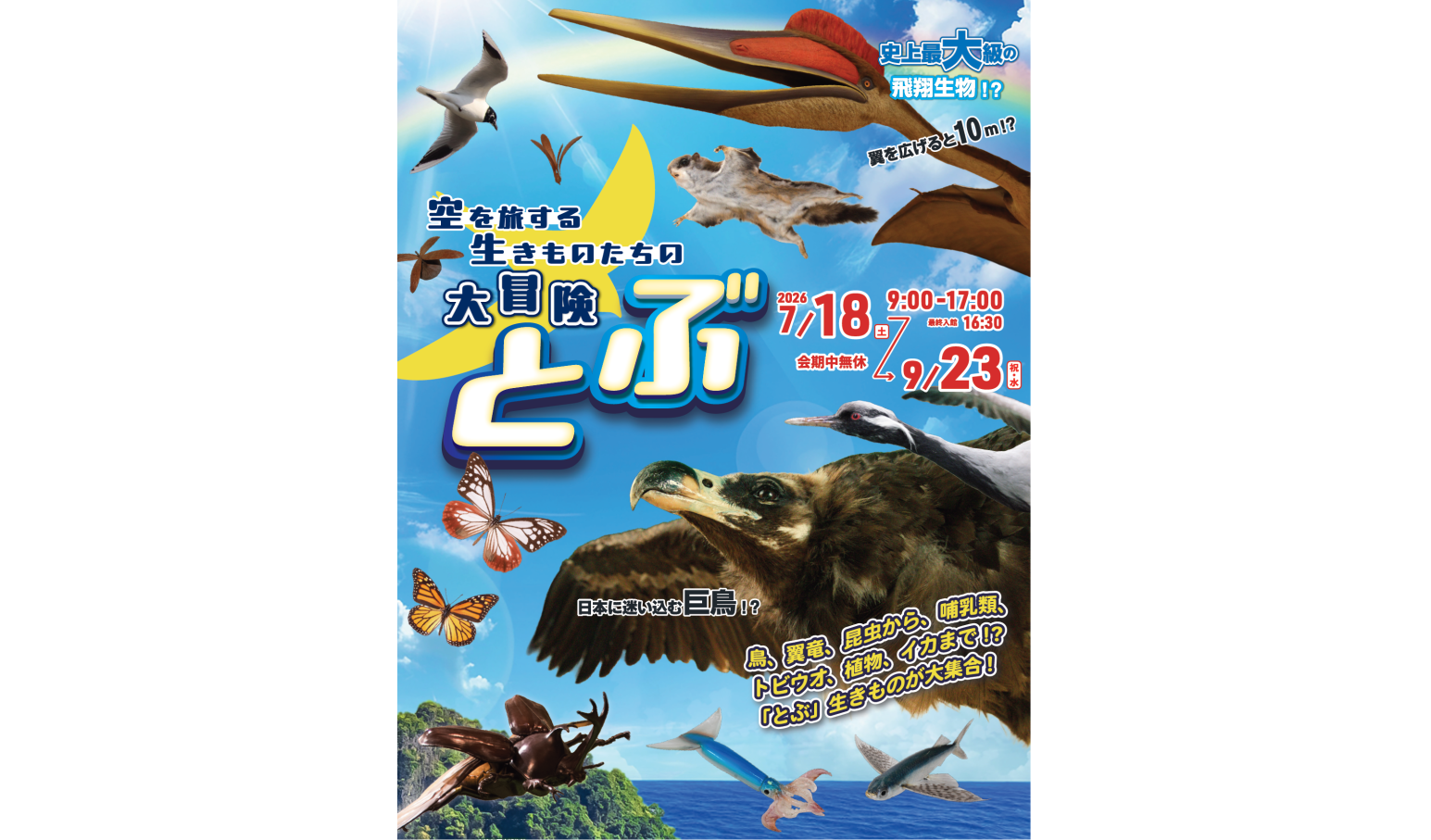 とぶ　空を旅する生きものたちの大冒険（いのちのたび博物館）-1