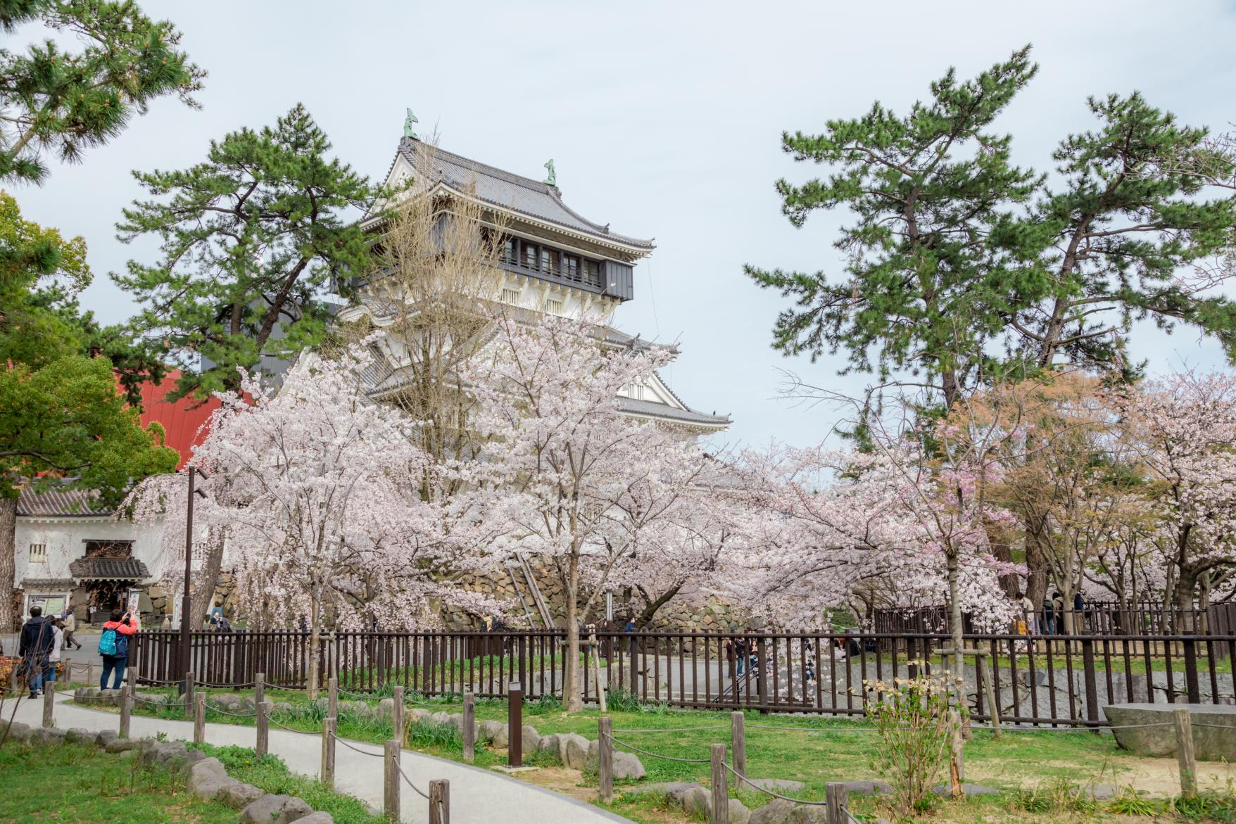 必見の二大イベント！春の「桜まつり」と秋の「竹あかり」-3
