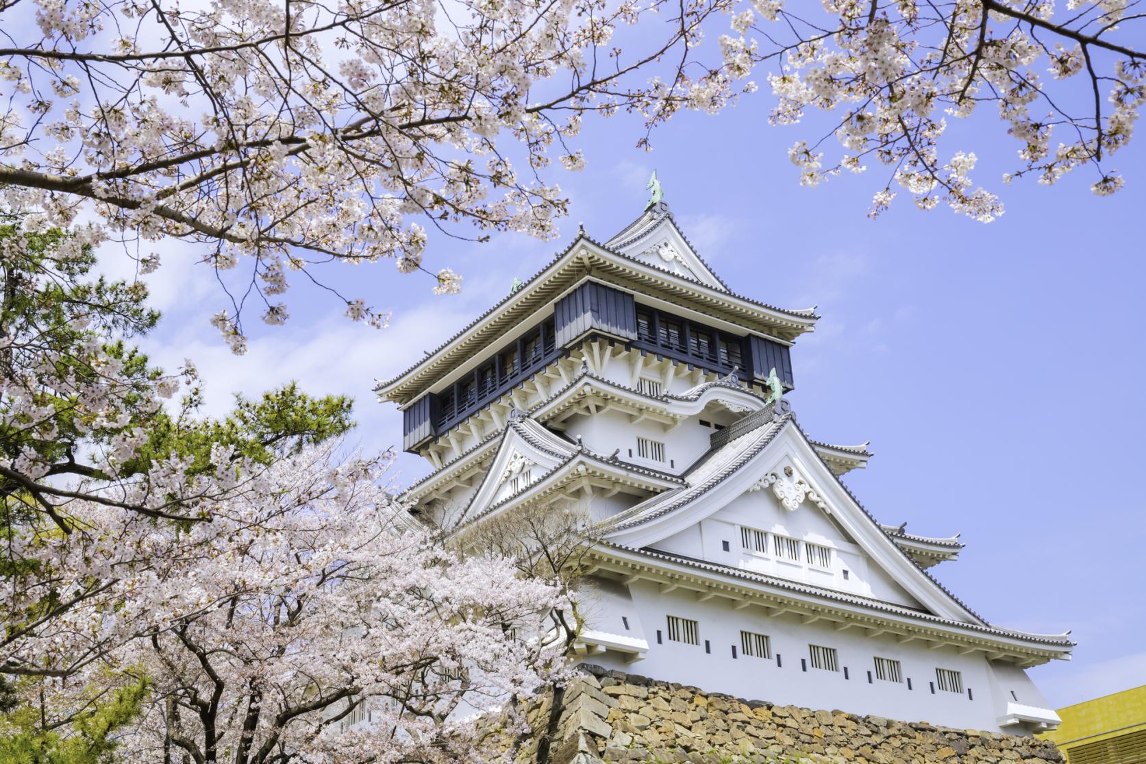 必見の二大イベント！春の「桜まつり」と秋の「竹あかり」-0