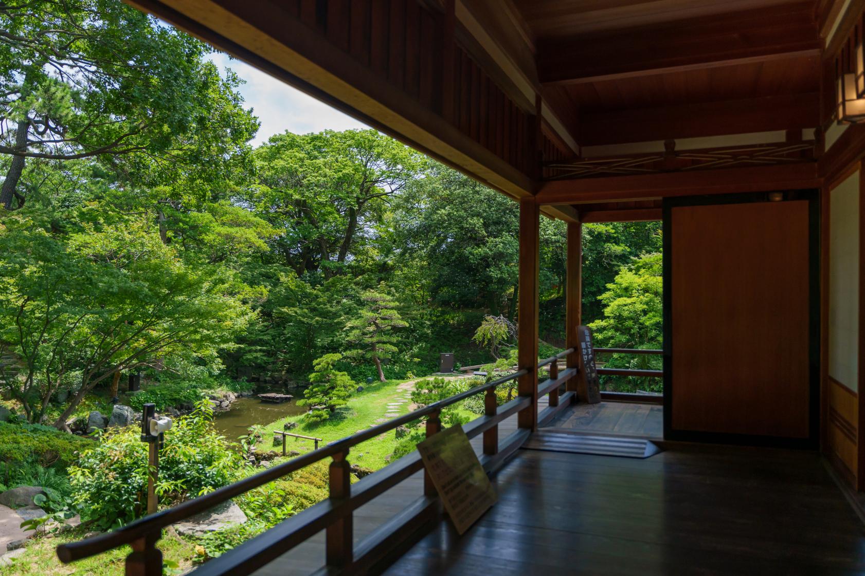 小倉城庭園で楽しむ絶景と茶道体験-0