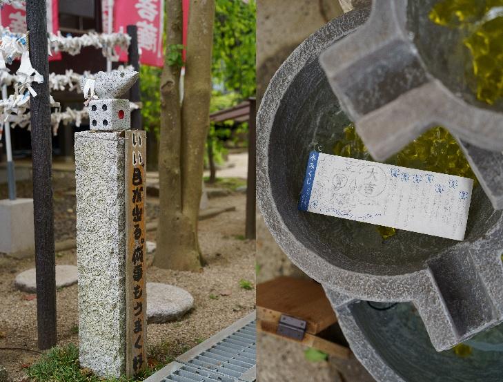 【2位】遊び心溢れる参拝スポット「めだか寺」（直方市）／6月8日-3
