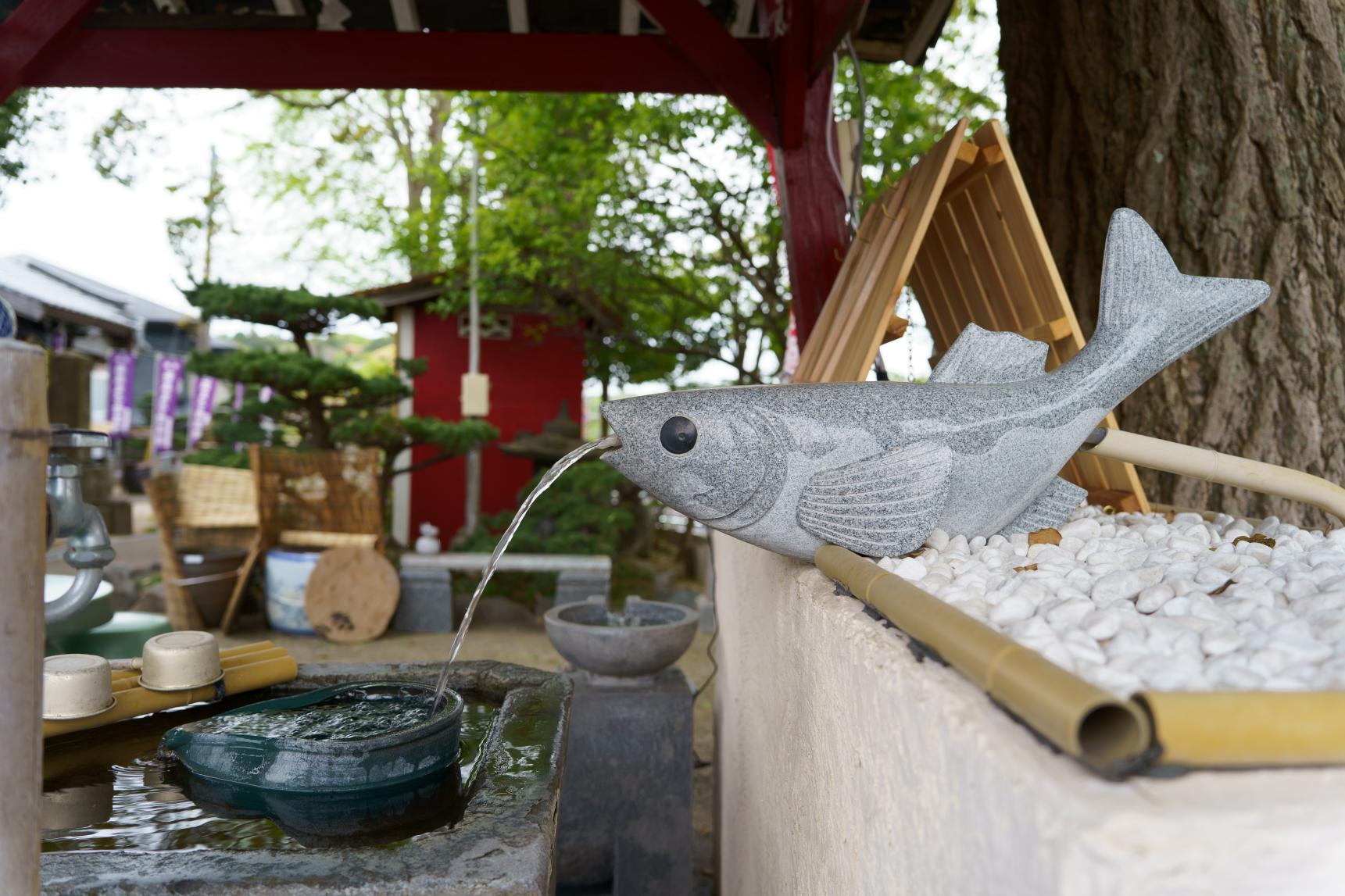 【2位】遊び心溢れる参拝スポット「めだか寺」（直方市）／6月8日-4