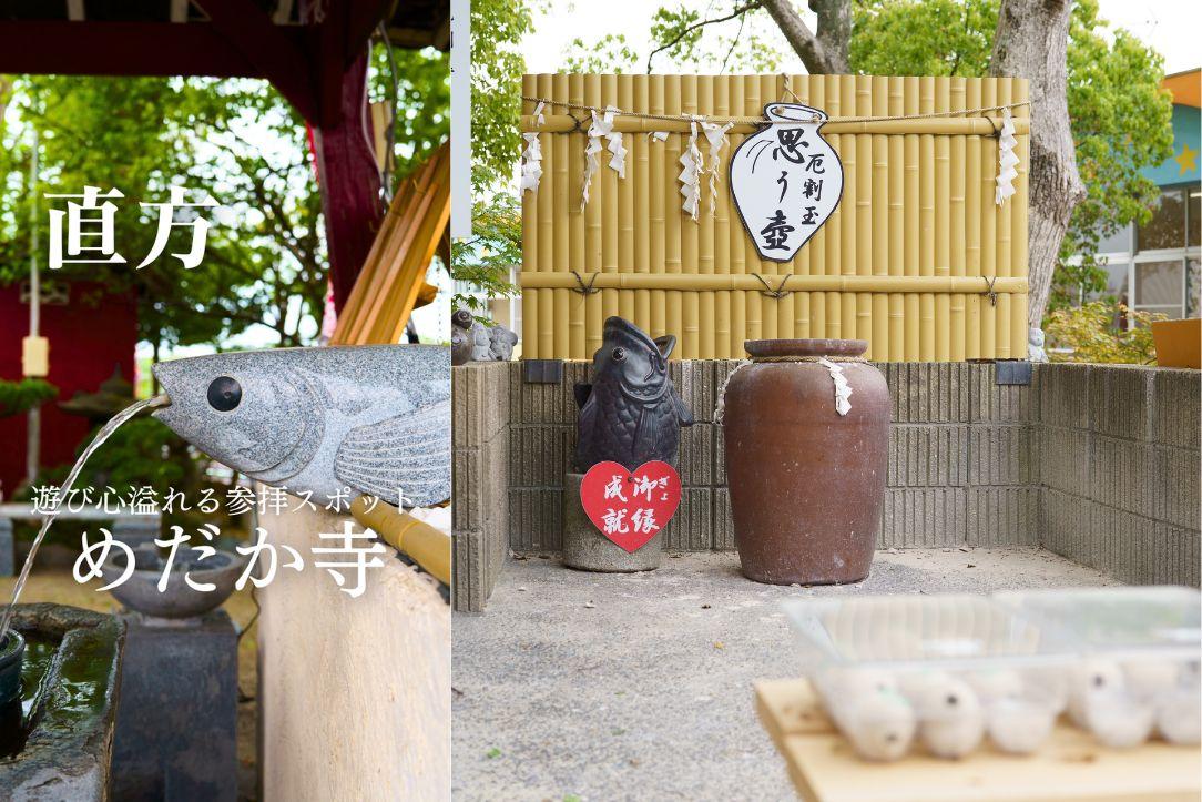 【2位】遊び心溢れる参拝スポット「めだか寺」（直方市）／6月8日-0