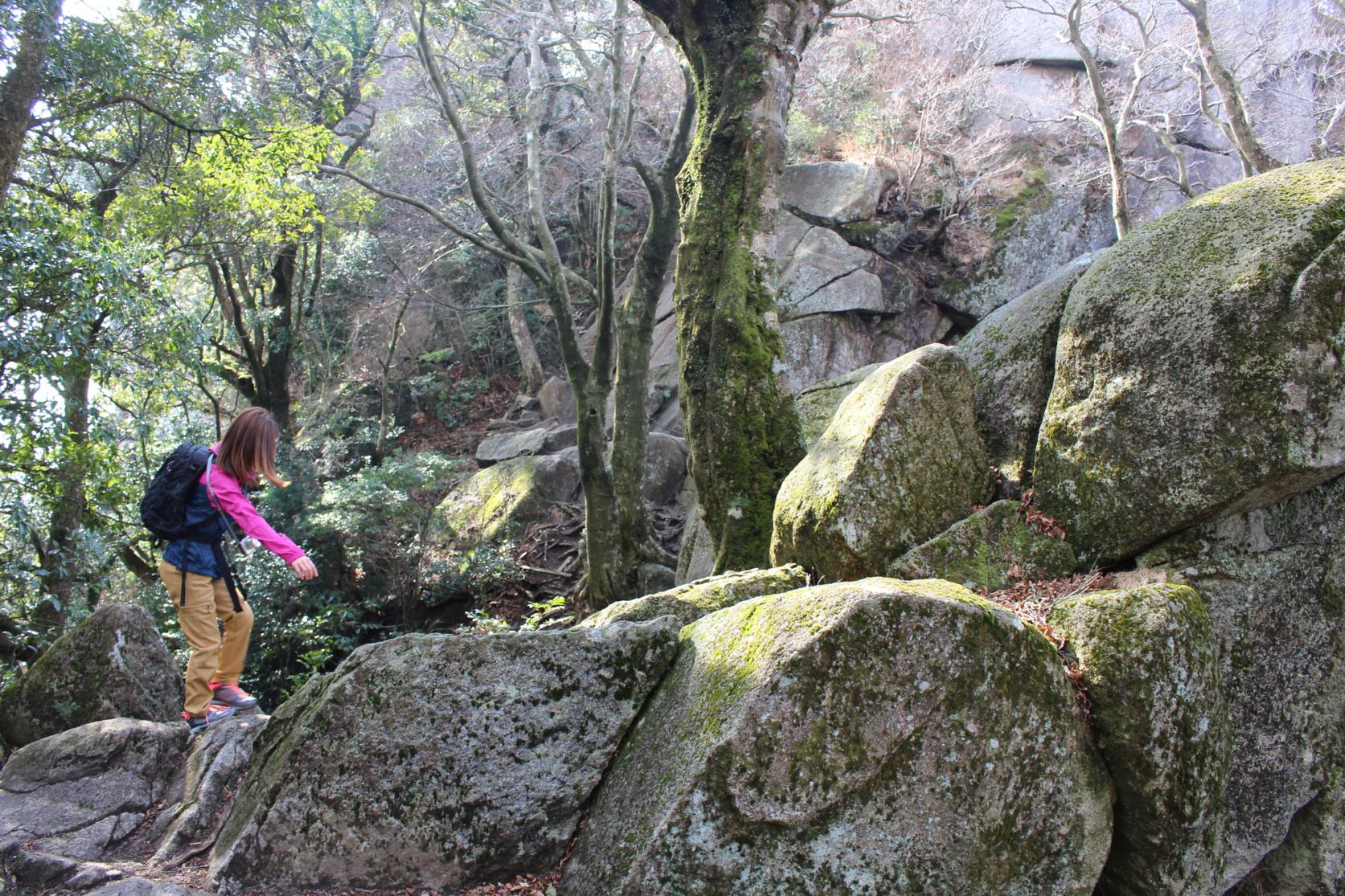 宝満山（ほうまんざん）-3