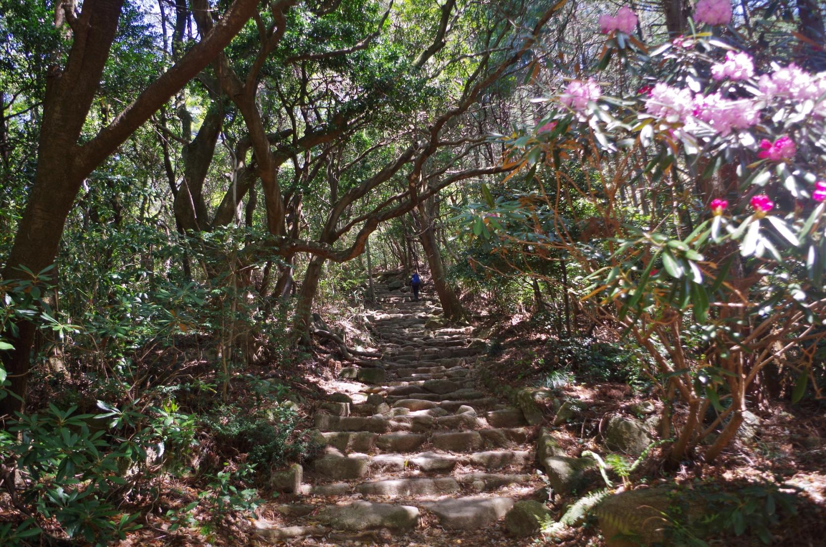 宝満山（ほうまんざん）-2