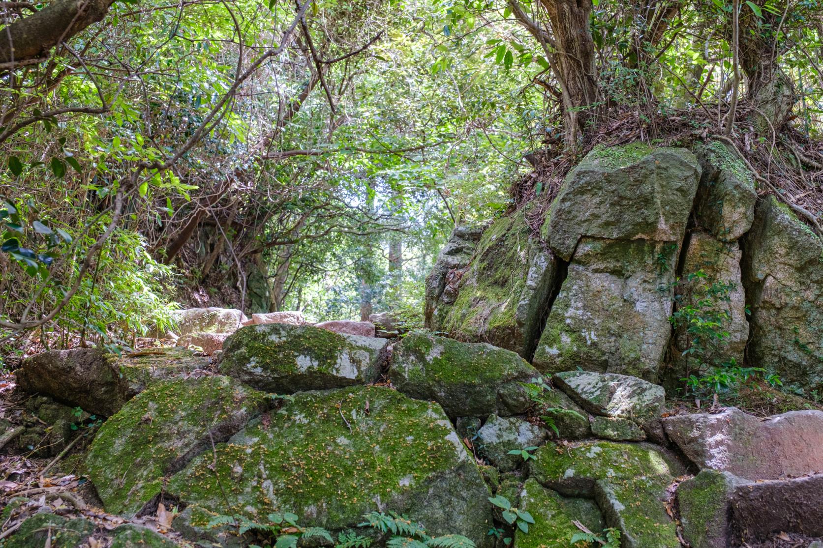 宝満山（ほうまんざん）-1