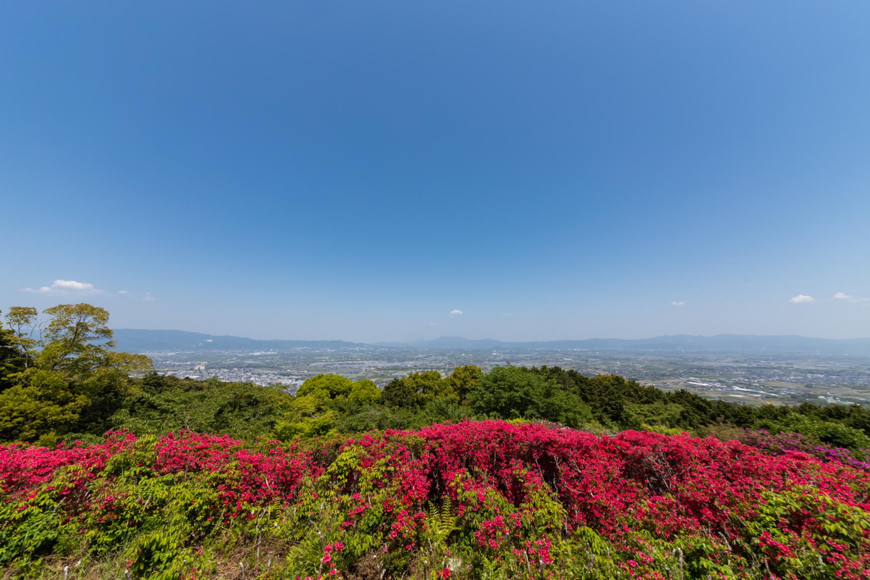 耳納連山（高良山）-4