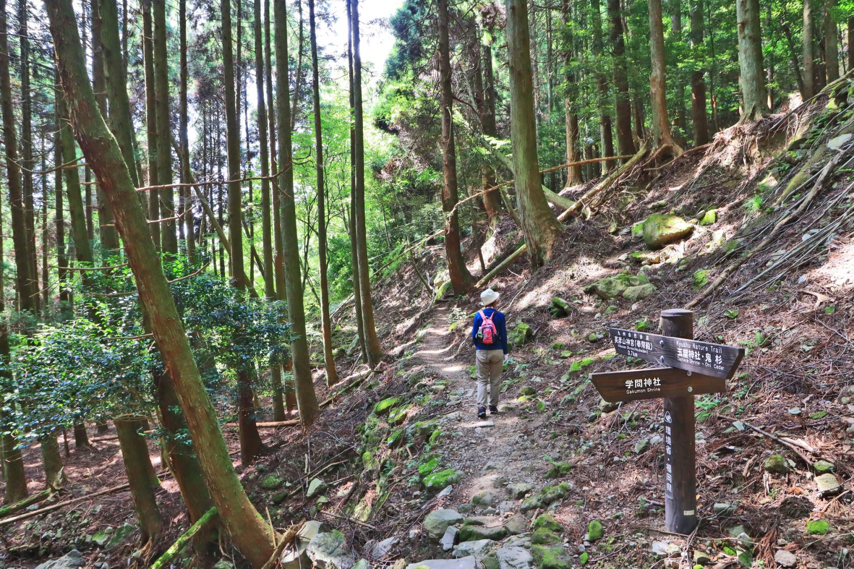 英彦山（ひこさん）-2